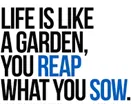 http://www.robzor.com/rhouse/IHStatus123_files/image516.webp