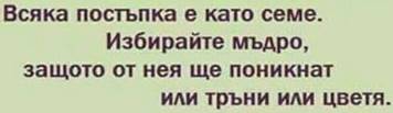 http://www.robzor.com/rhouse/IHStatus123_files/image517.jpg