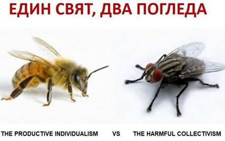 http://www.robzor.com/rhouse/zarazninormipravila123_files/image014.jpg